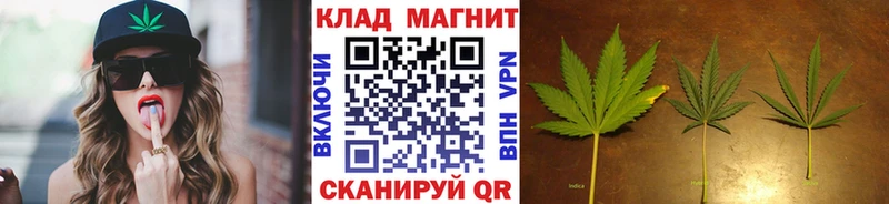 Где купить наркотики Сольцы ГАШ COCAIN Кодеин Метадон Бошки Шишки Меф мяу мяу