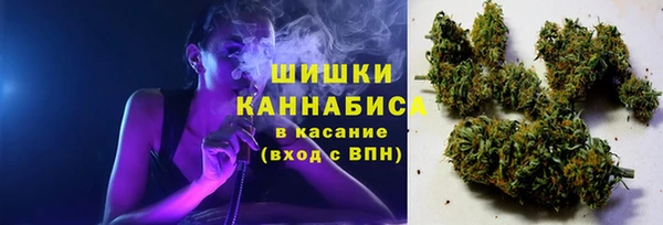 молекула духа Елабуга