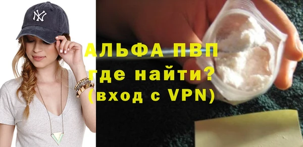 стафф Арсеньев