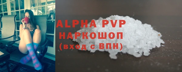 стафф Арсеньев