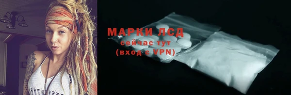 стафф Арсеньев