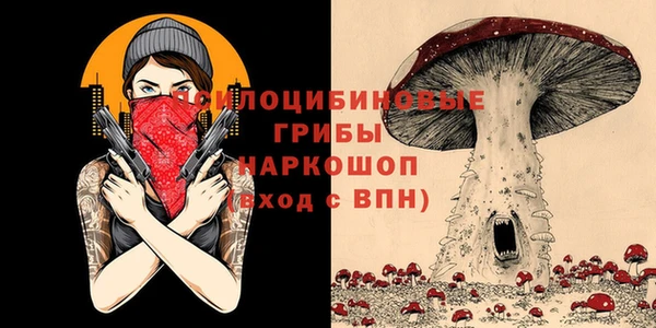 трава Армянск