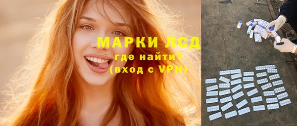 стафф Арсеньев