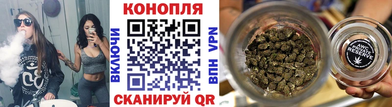 Конопля гибрид  Сольцы 